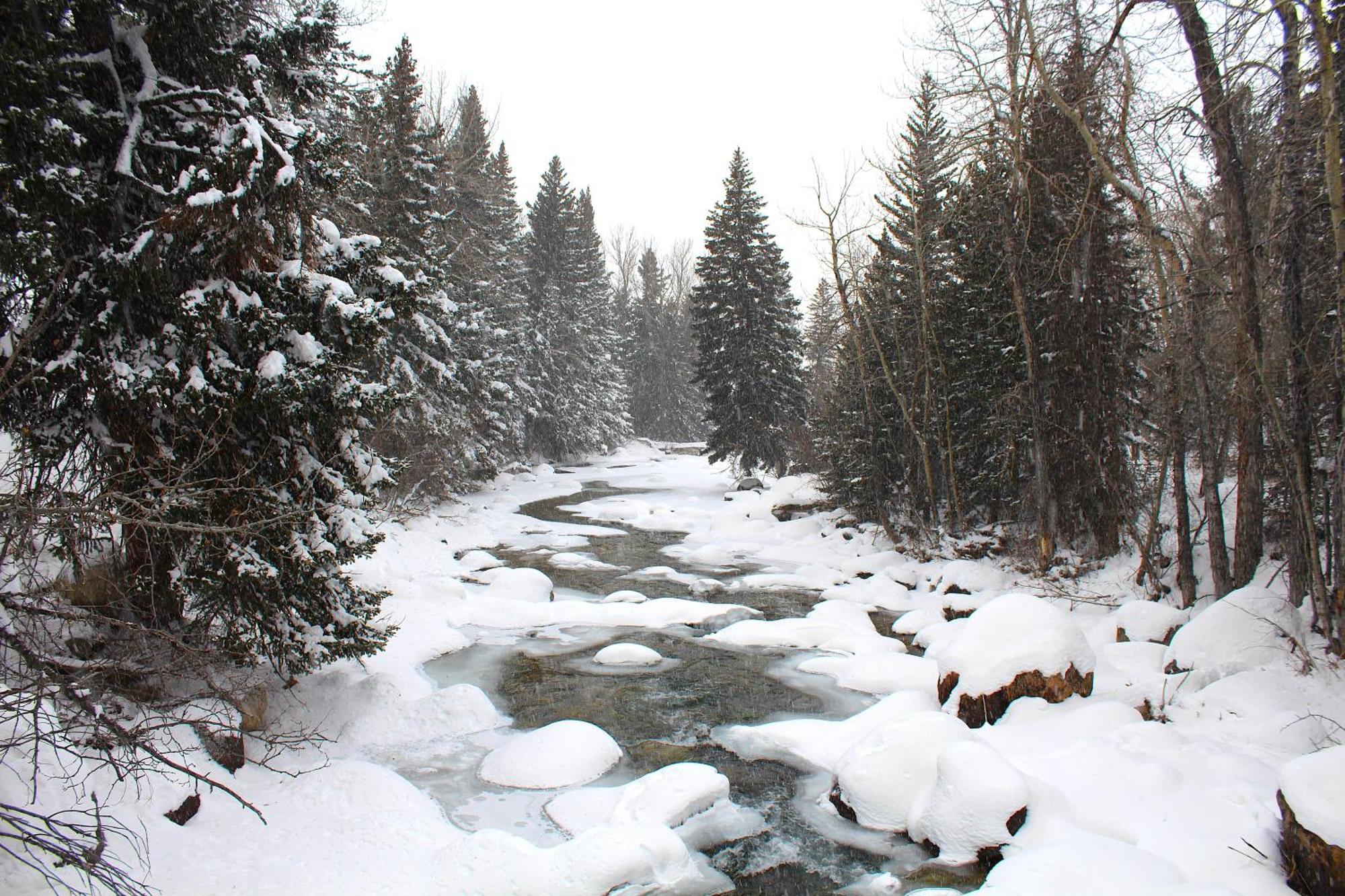 Rock Creek Resort Red Lodge Buitenkant foto